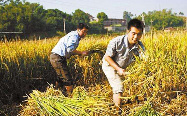 让毕业生在基层一线产生获得感 让毕业生在基层一线产生获得感